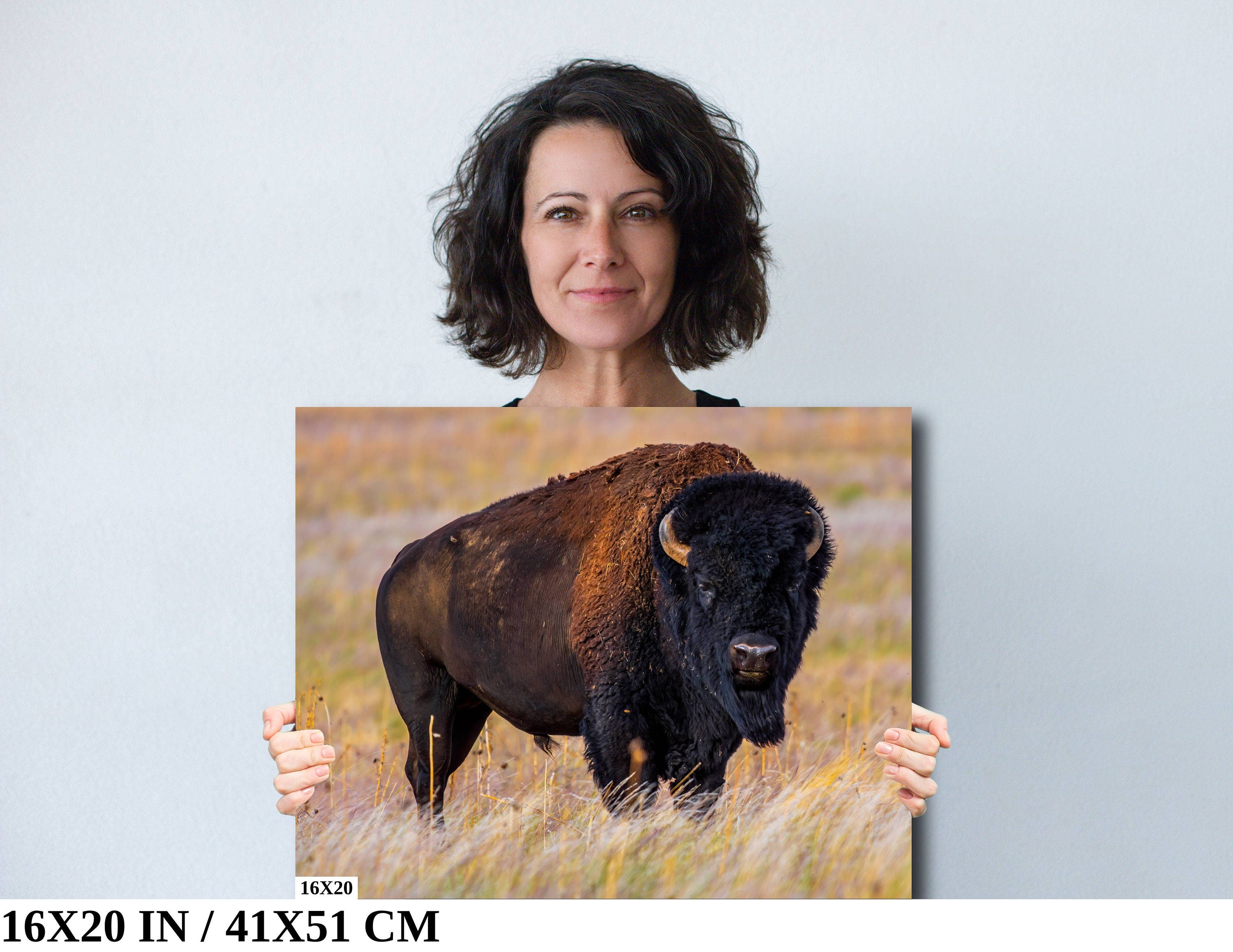 Bison Photography Print: Antelope Island State Park Wildlife Canvas Art
