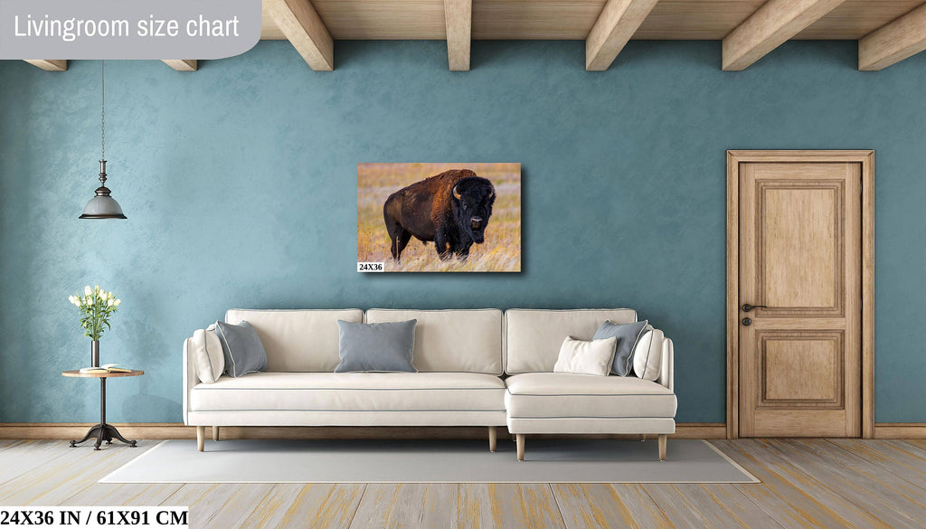 Bison Photography Print: Antelope Island State Park Wildlife Canvas Art