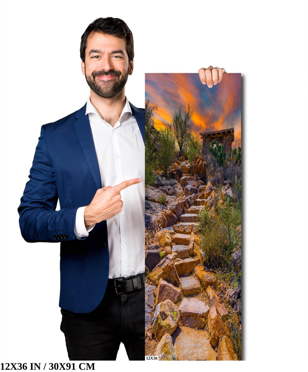 Mystique of Stone Stairs: Saguaro National Park Tucson Arizona Portrait Desert Photography Wall Art