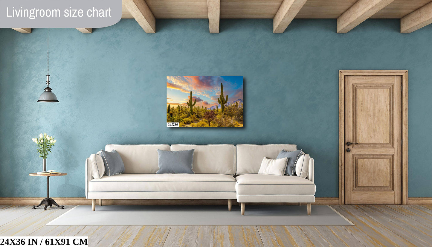 Sabino Canyon Cactus Sunset: Tucson Arizona Desert Photography Wall Art