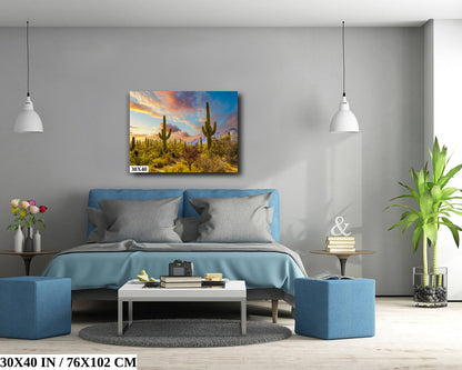Sabino Canyon Cactus Sunset: Tucson Arizona Desert Photography Wall Art