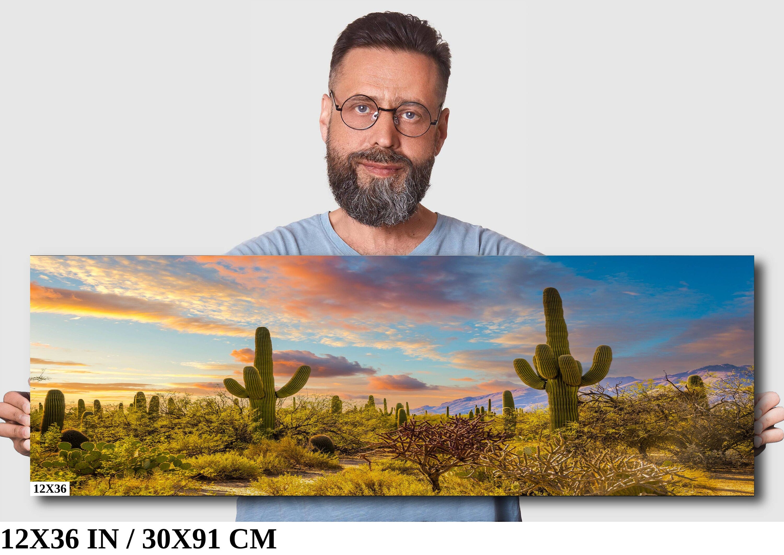 Sabino Canyon Cactus Sunset: Tucson Arizona Desert Photography Wall Art
