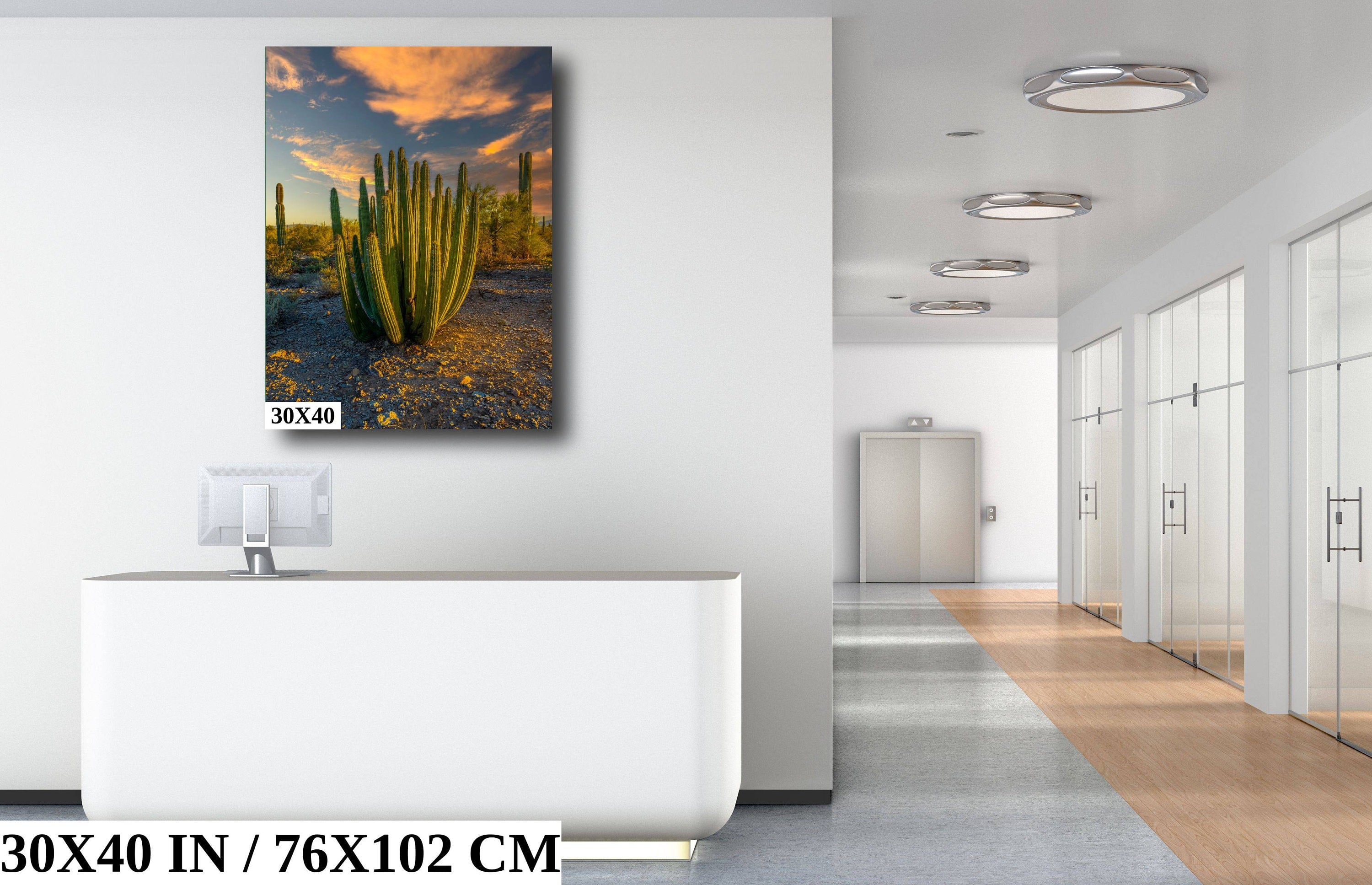 Serenade of Spines: Organ Pipe Cactus National Monument Desert Sanctuary Wall Art Photography
