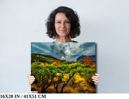 Stormy Glow: Arizona American Southwest Landscape Photography Nature Wall Art Nature Canvas Print