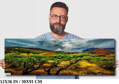 Stormy Glow: Arizona American Southwest Landscape Photography Nature Wall Art Nature Canvas Print