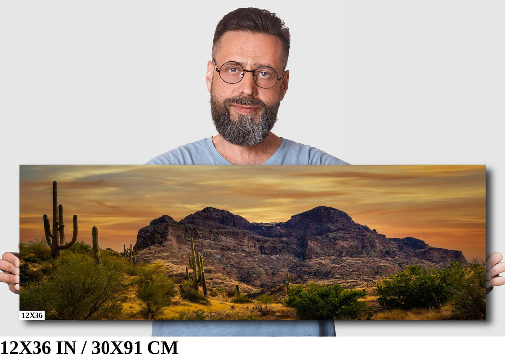 Golden Southwest Arizona Wall Art Landscape Nature Photography