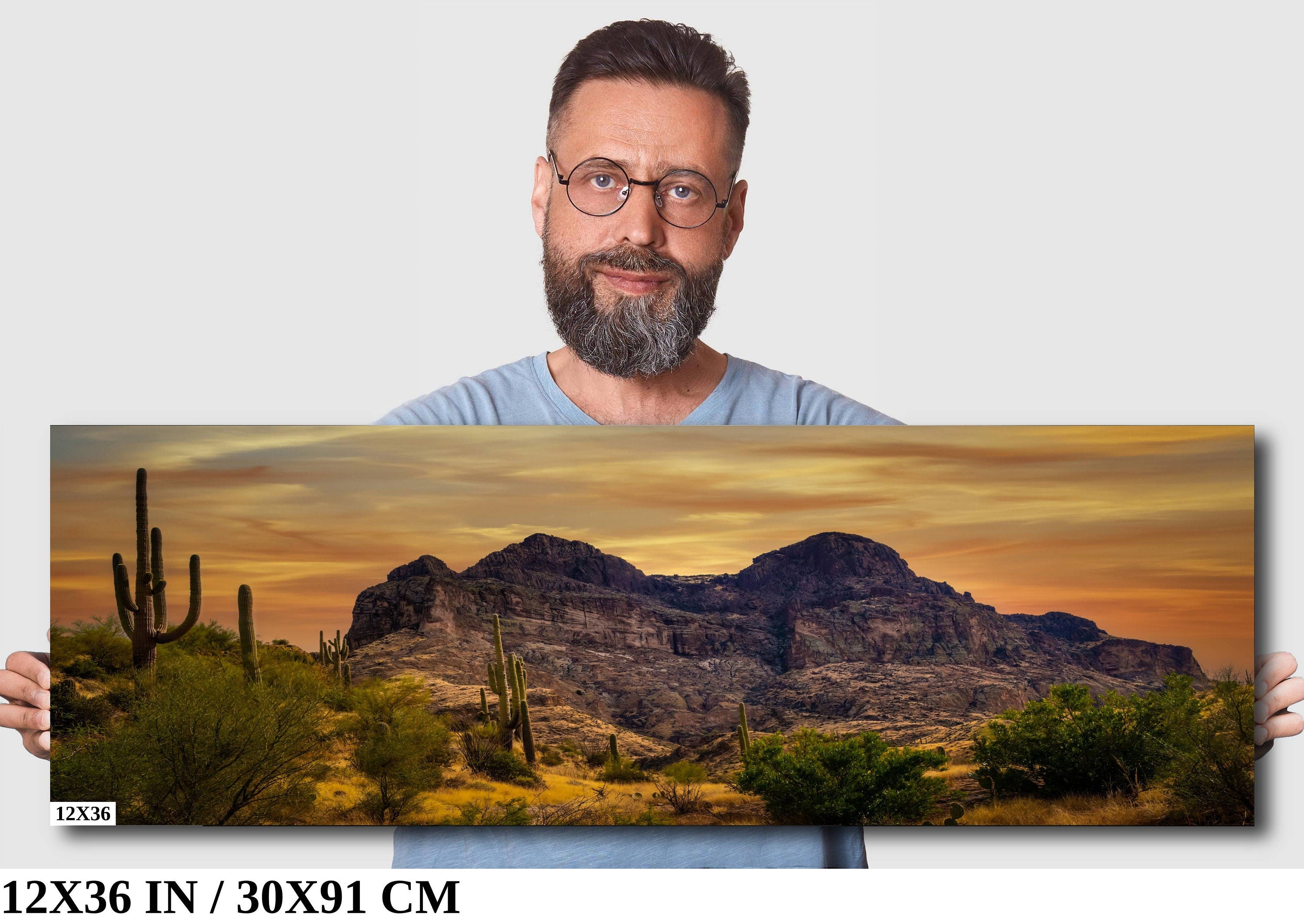 Golden Southwest Arizona Wall Art Landscape Nature Photography