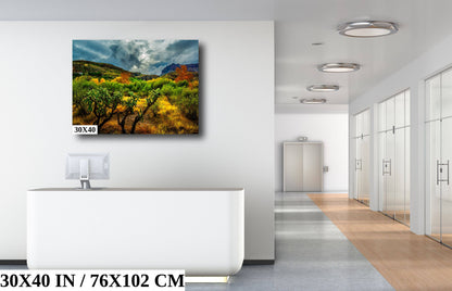 Stormy Glow: Arizona American Southwest Landscape Photography Nature Wall Art Nature Canvas Print