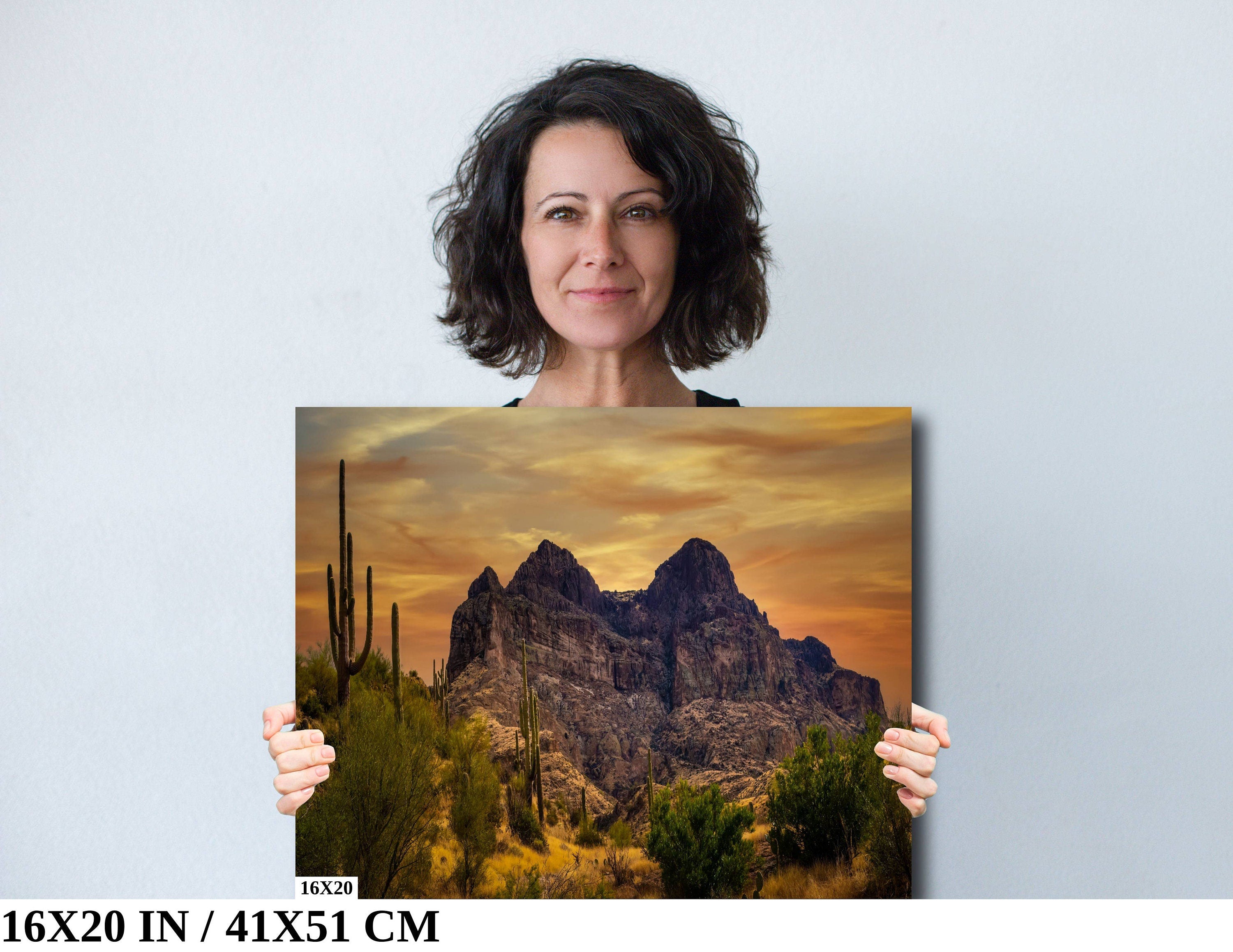 Golden Southwest Arizona Wall Art Landscape Nature Photography