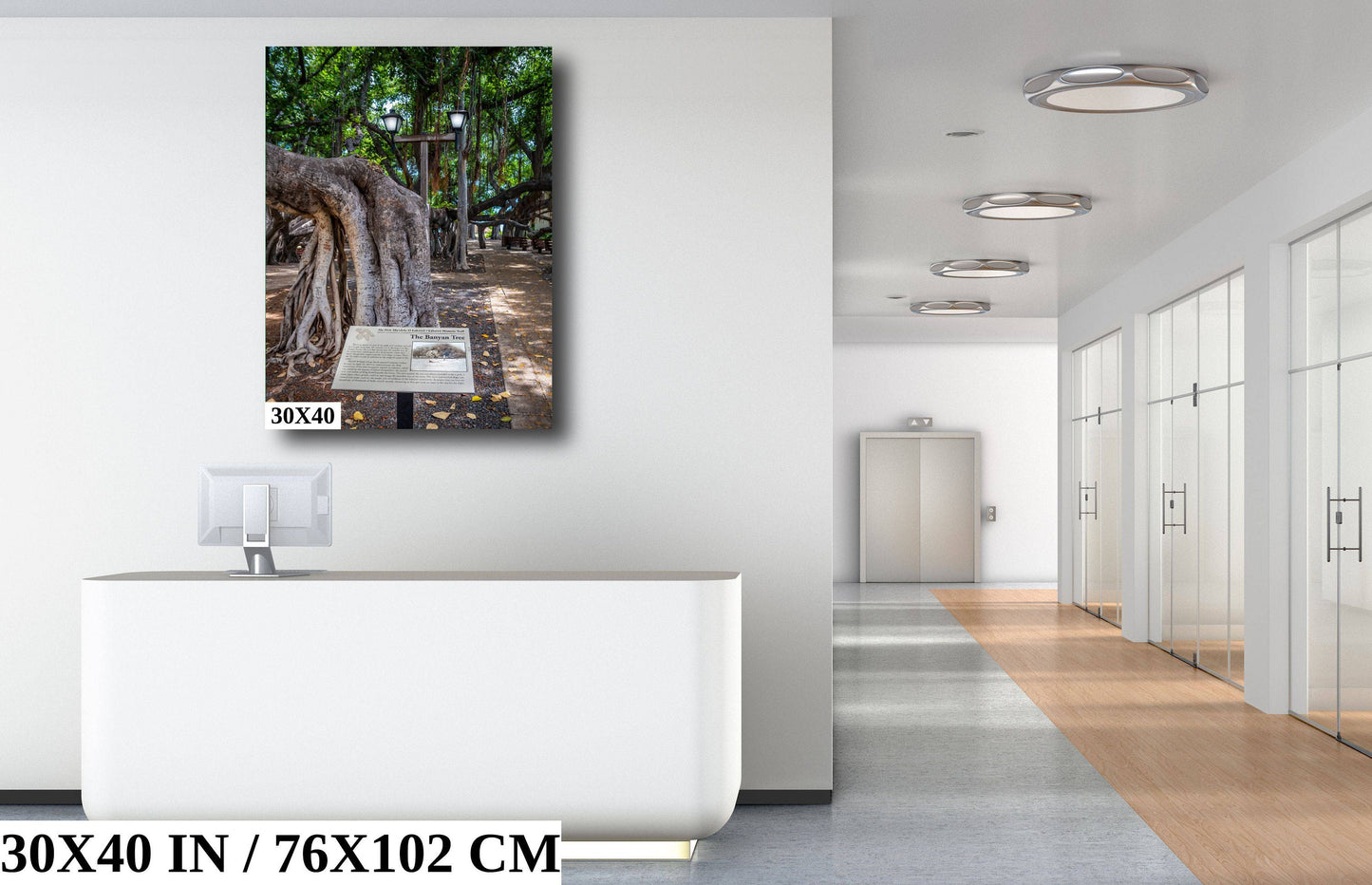 The Lahaina Banyan Tree: Hawaii's Historical Tree Photography Maui Wall Art Hawaii