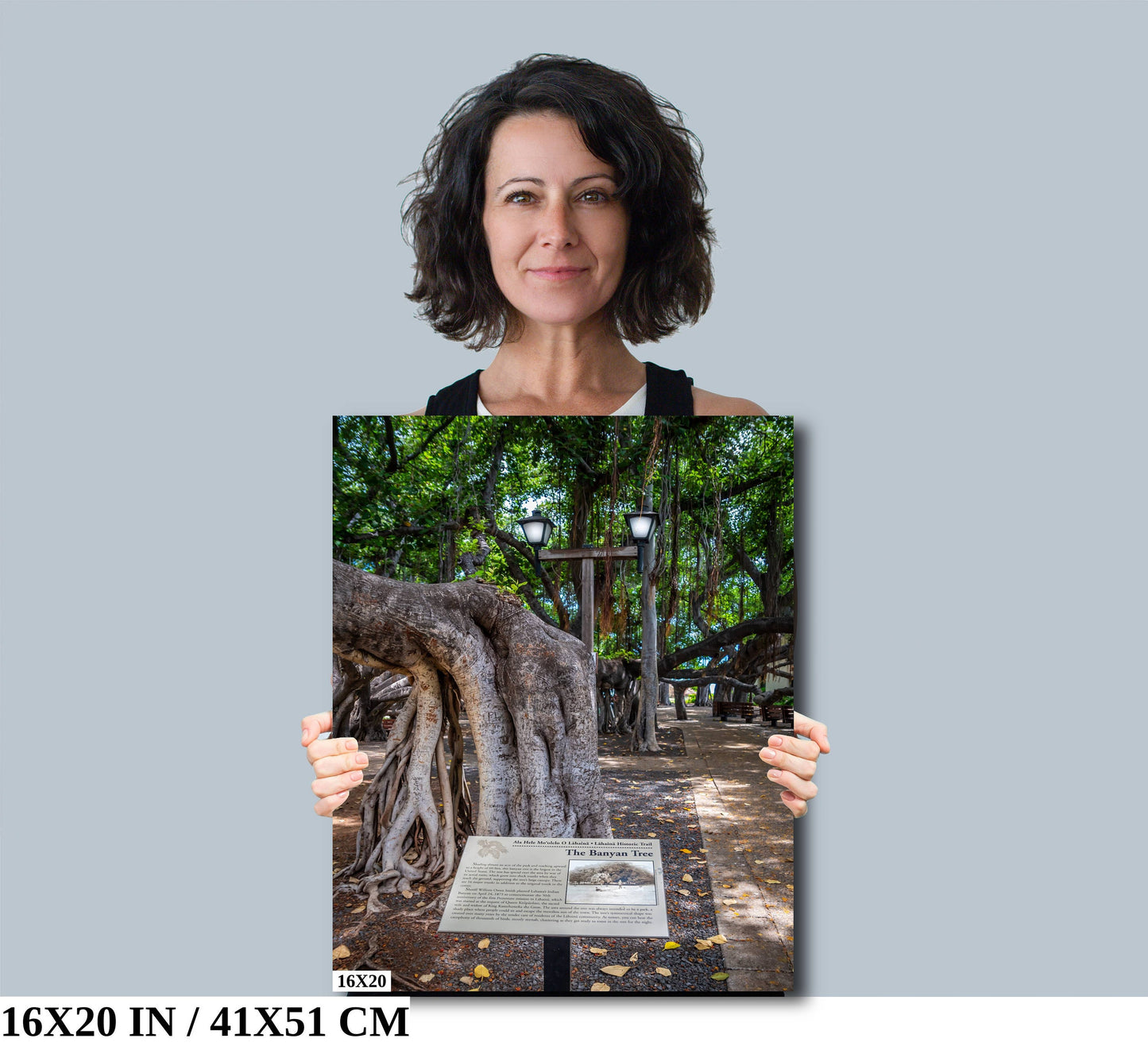 The Lahaina Banyan Tree: Hawaii's Historical Tree Photography Maui Wall Art Hawaii