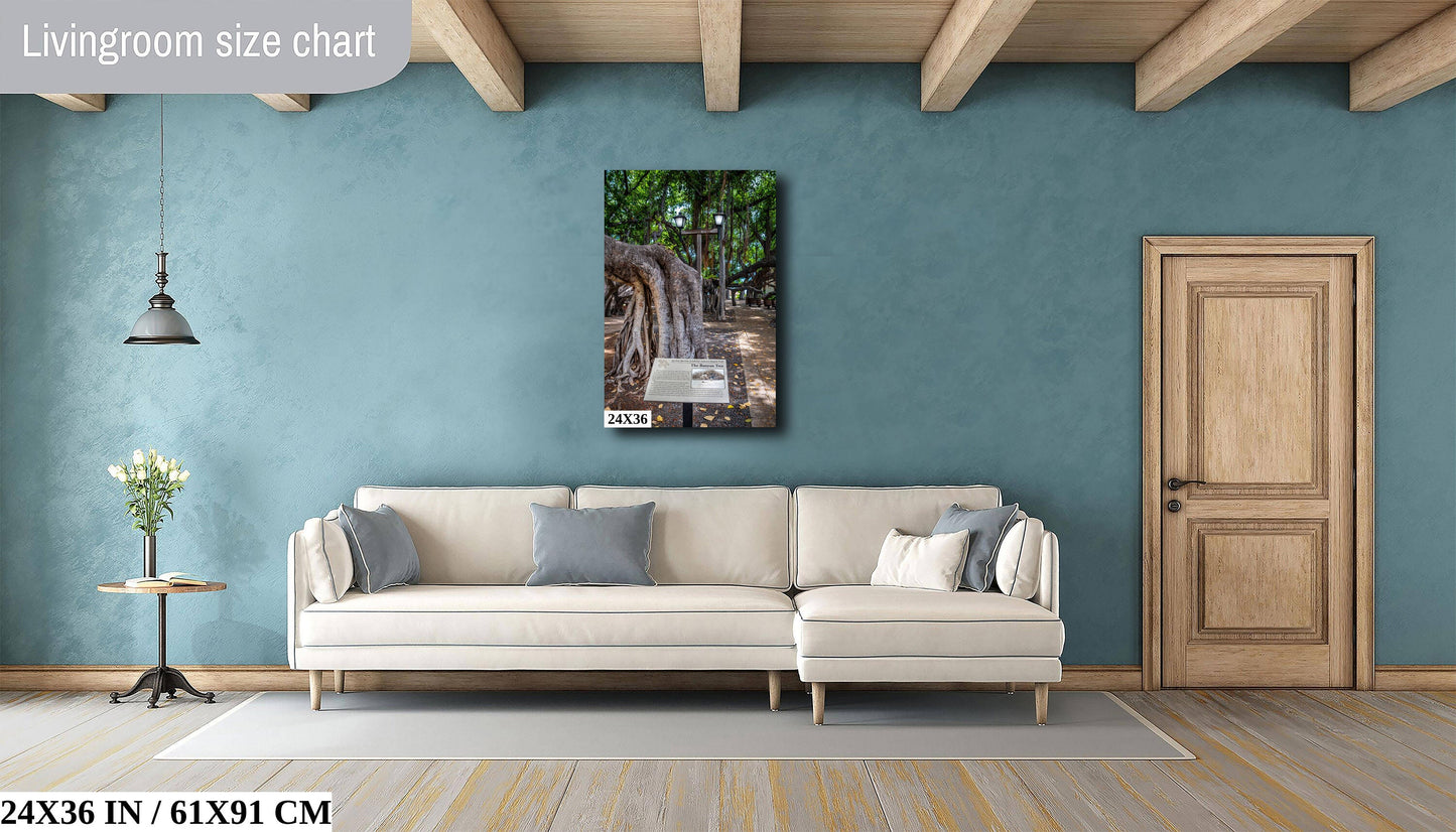 The Lahaina Banyan Tree: Hawaii's Historical Tree Photography Maui Wall Art Hawaii