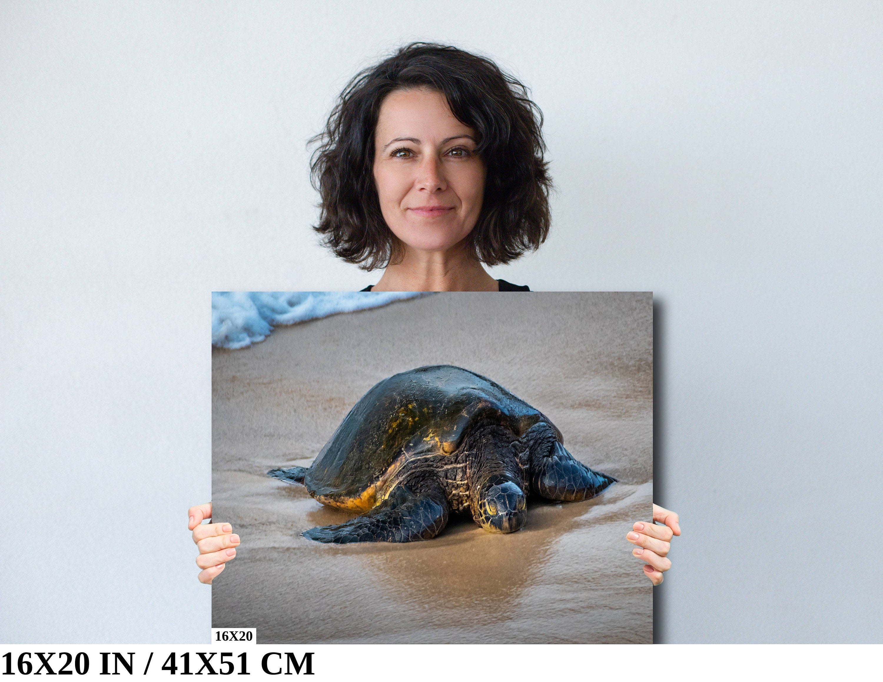 Hawaii Sea Turtle Photo Print: Ocean Wildlife Wall Art