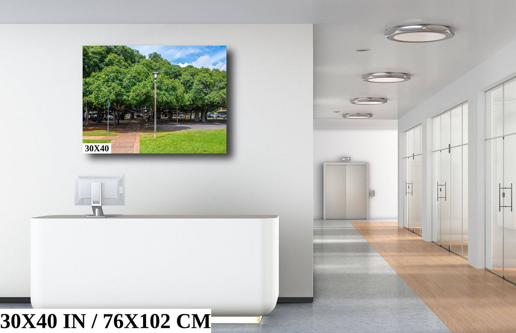 Lahaina Banyan Tree Photography: Maui Hawaii Landscape Wall Art Print