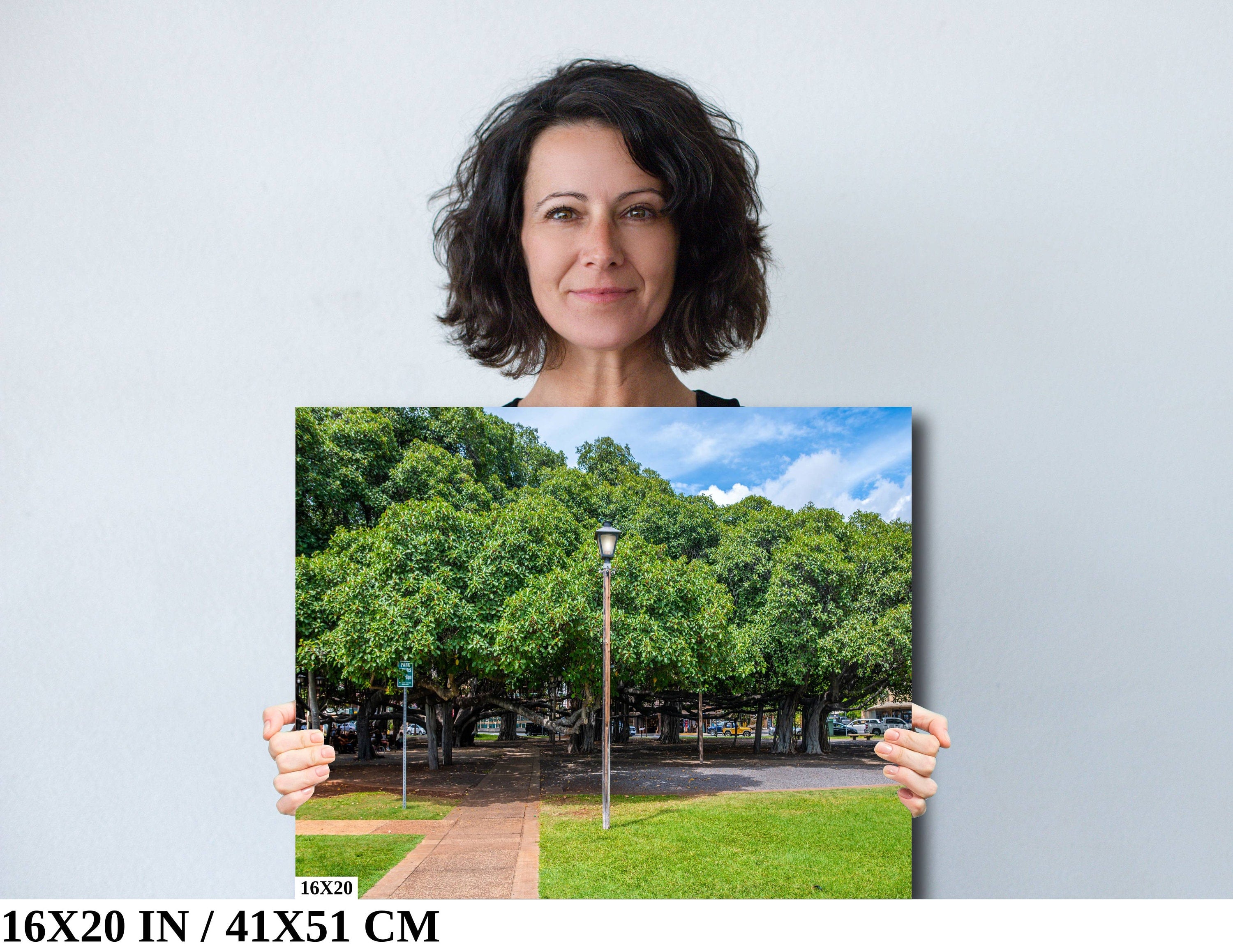 Lahaina Banyan Tree Photography: Maui Hawaii Landscape Wall Art Print