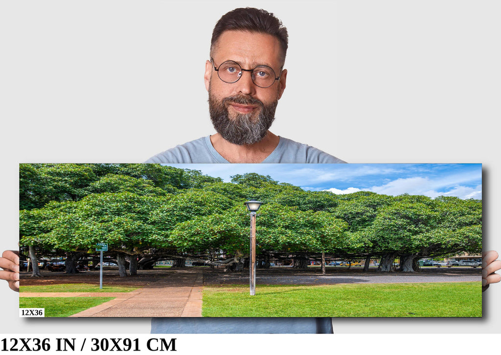 Lahaina Banyan Tree Photography: Maui Hawaii Landscape Wall Art Print
