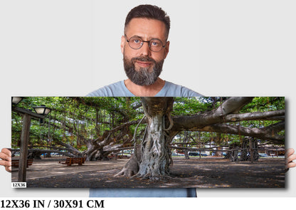 Lahaina Banyan Tree Print - Maui Wall Art | Hawaii Nature Decor Canvas