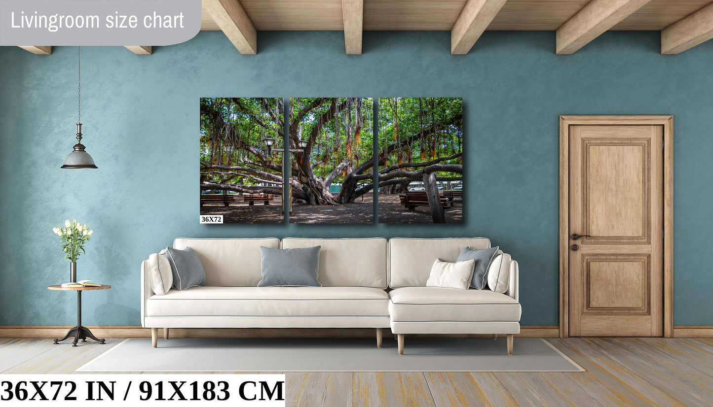 Lahaina Banyan Tree Photography - Maui Nature Canvas | Wildfire Resilience Art Print