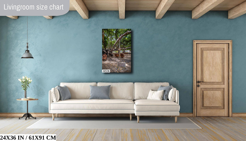 Nature's Canopy: Banyan Tree Print Wall Art Lahaina Hawaii Portrait Maui Photography