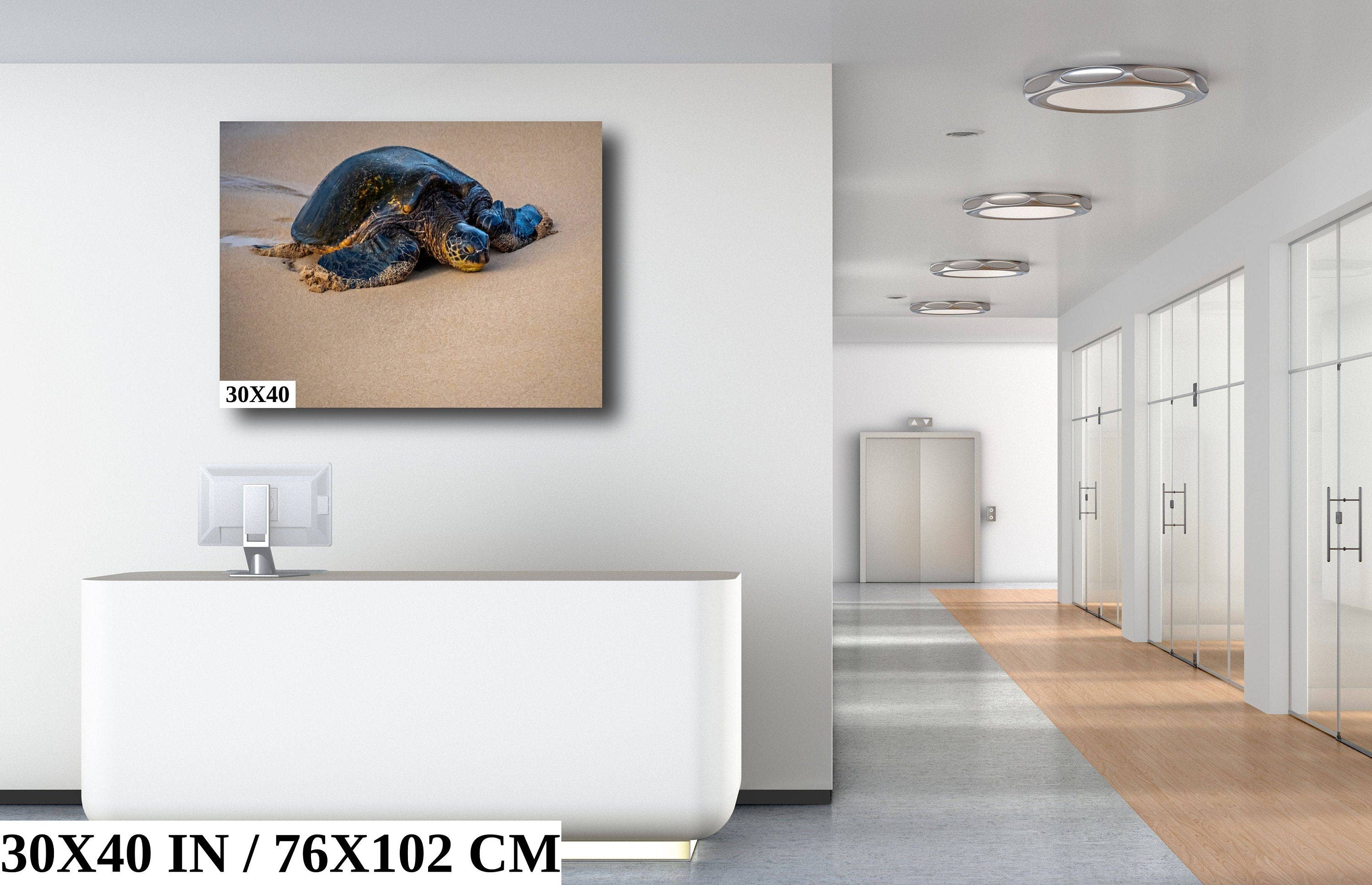 Turtle Serenity: Maui Hawaii Sea Photography Wall Art Ocean Wildlife Print