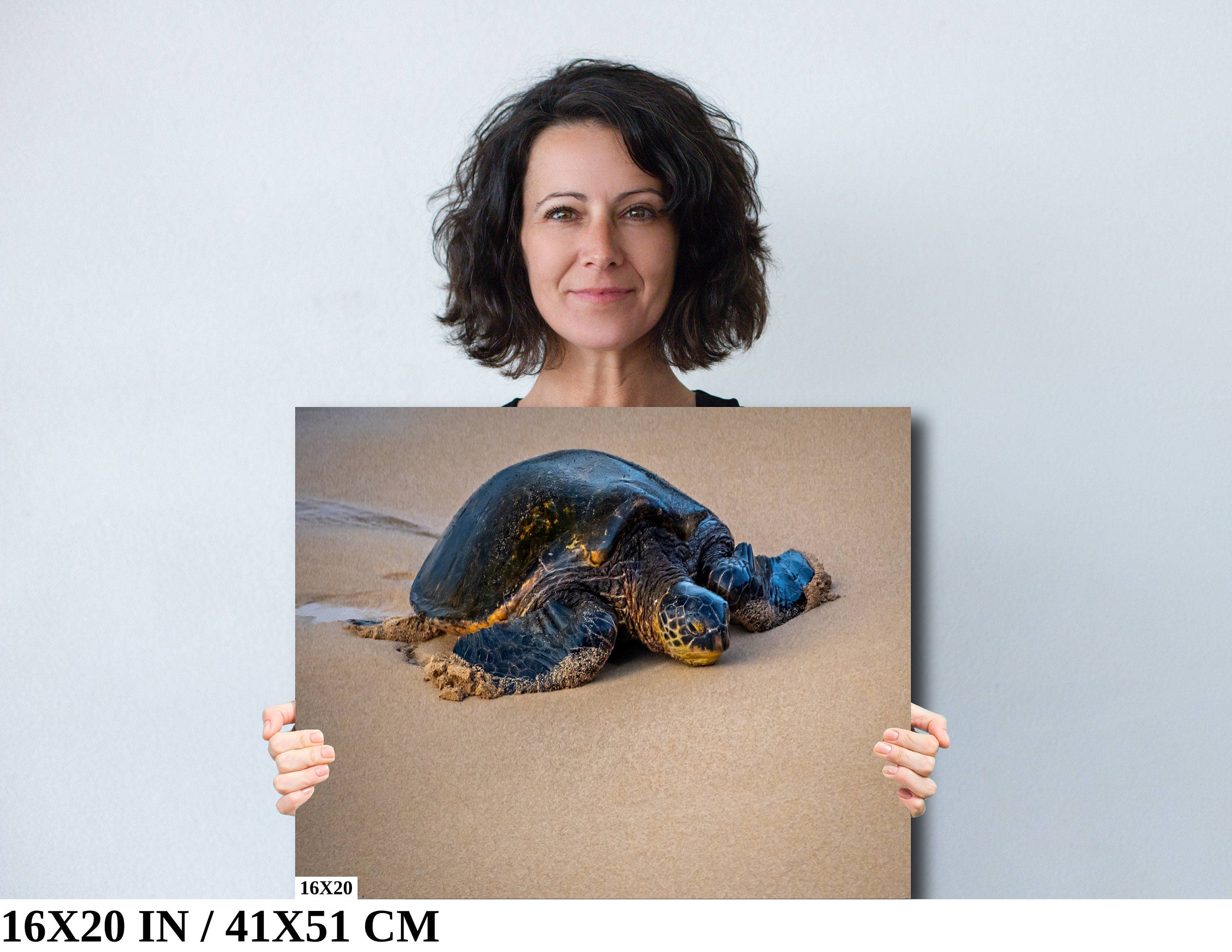 Turtle Serenity: Maui Hawaii Sea Photography Wall Art Ocean Wildlife Print