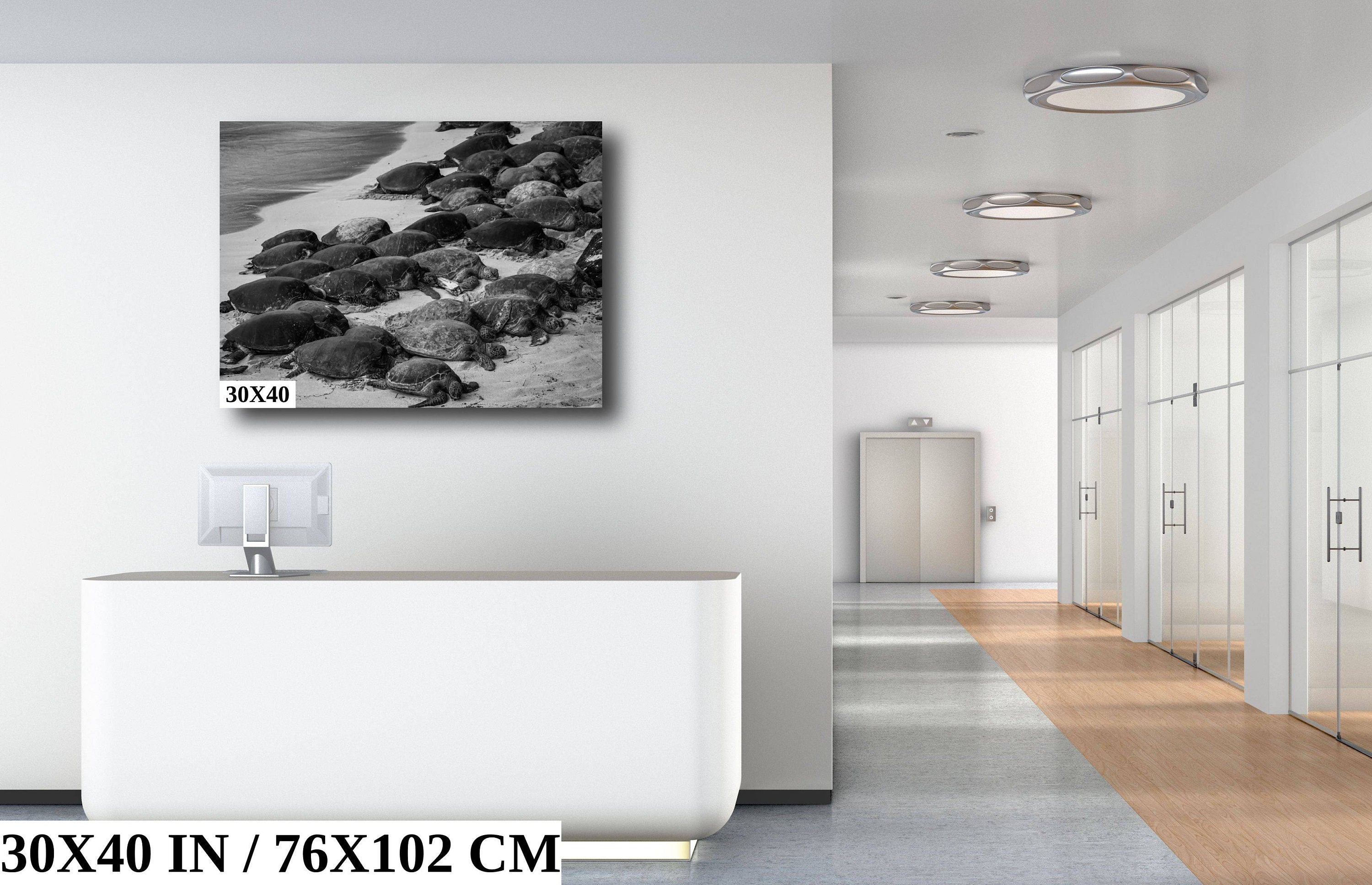 Maui Turtles Photography Print: Black and White Ocean Wall Art