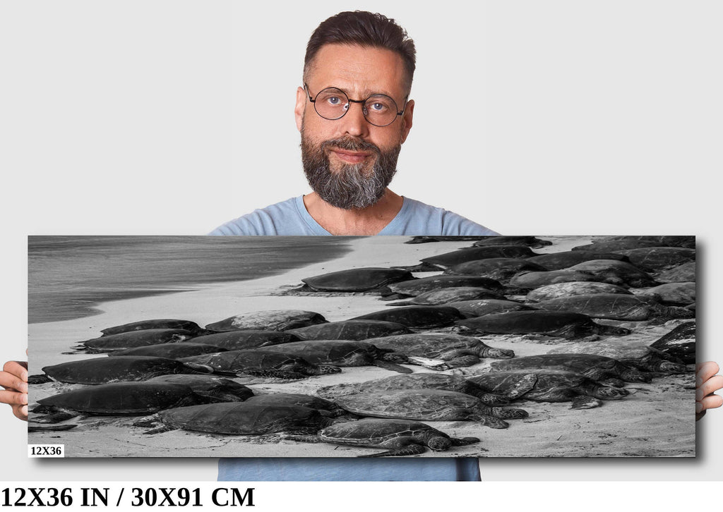 Maui Turtles Photography Print: Black and White Ocean Wall Art
