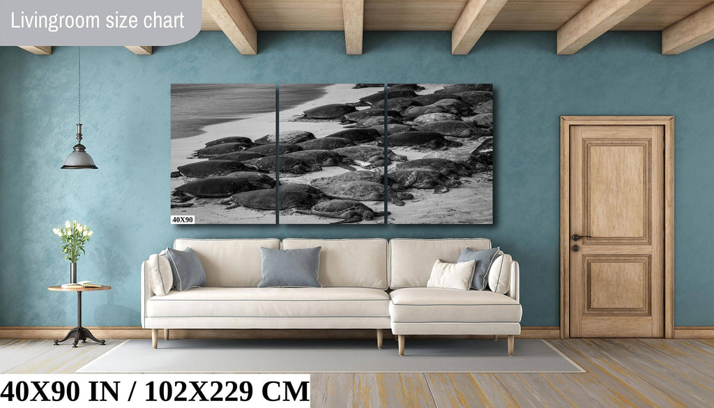 Maui Turtles Photography Print: Black and White Ocean Wall Art