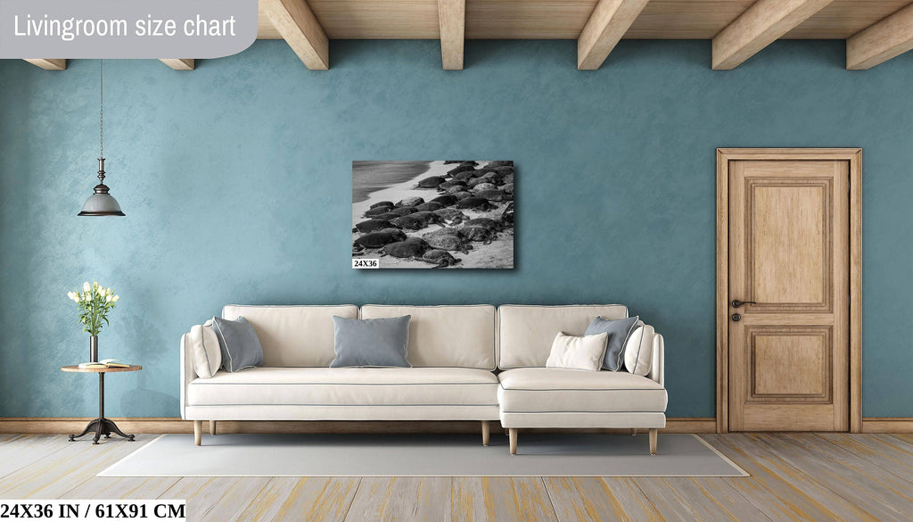Maui Turtles Photography Print: Black and White Ocean Wall Art