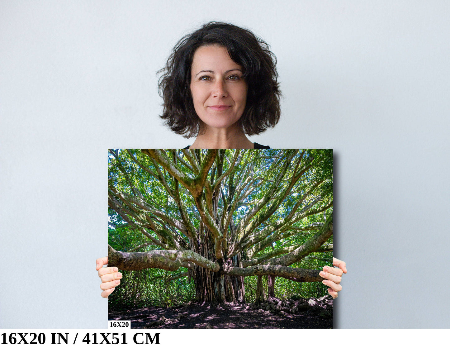 Banyan Tree Photography - Haleakala National Park Maui Nature Prints | Tropical Wall Art