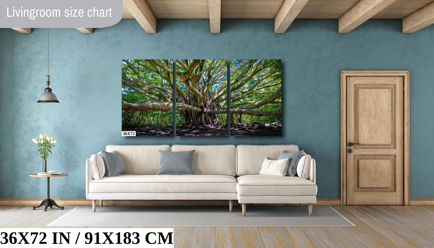 Banyan Tree Photography - Haleakala National Park Maui Nature Prints | Tropical Wall Art