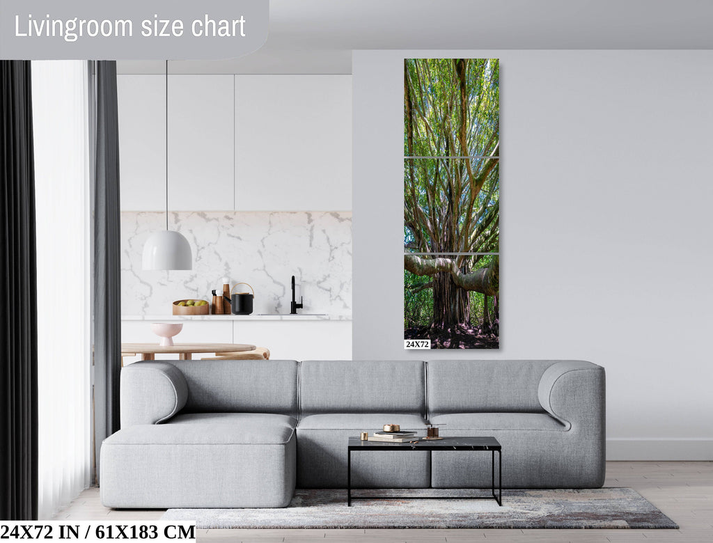 Roots of Time - Banyan Tree in Haleakala National Park Photography Maui Nature Canvas Print Hawaii Landscape