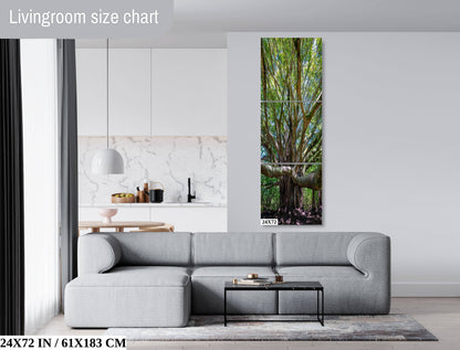 Roots of Time - Banyan Tree in Haleakala National Park Photography Maui Nature Canvas Print Hawaii Landscape