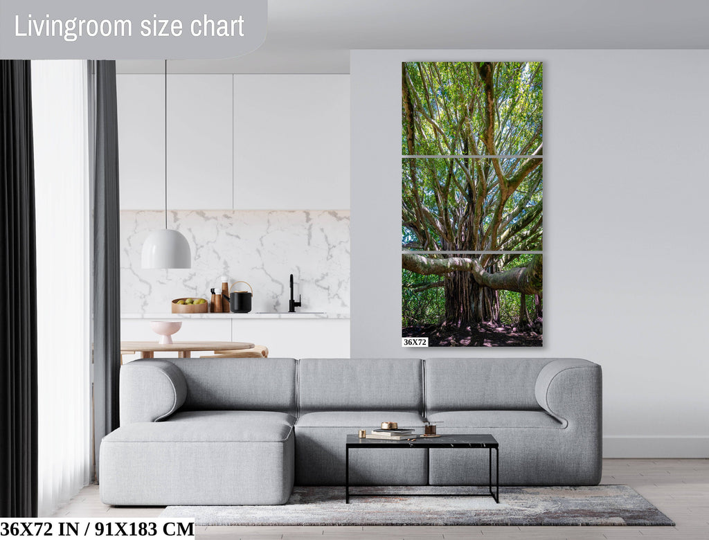 Roots of Time - Banyan Tree in Haleakala National Park Photography Maui Nature Canvas Print Hawaii Landscape