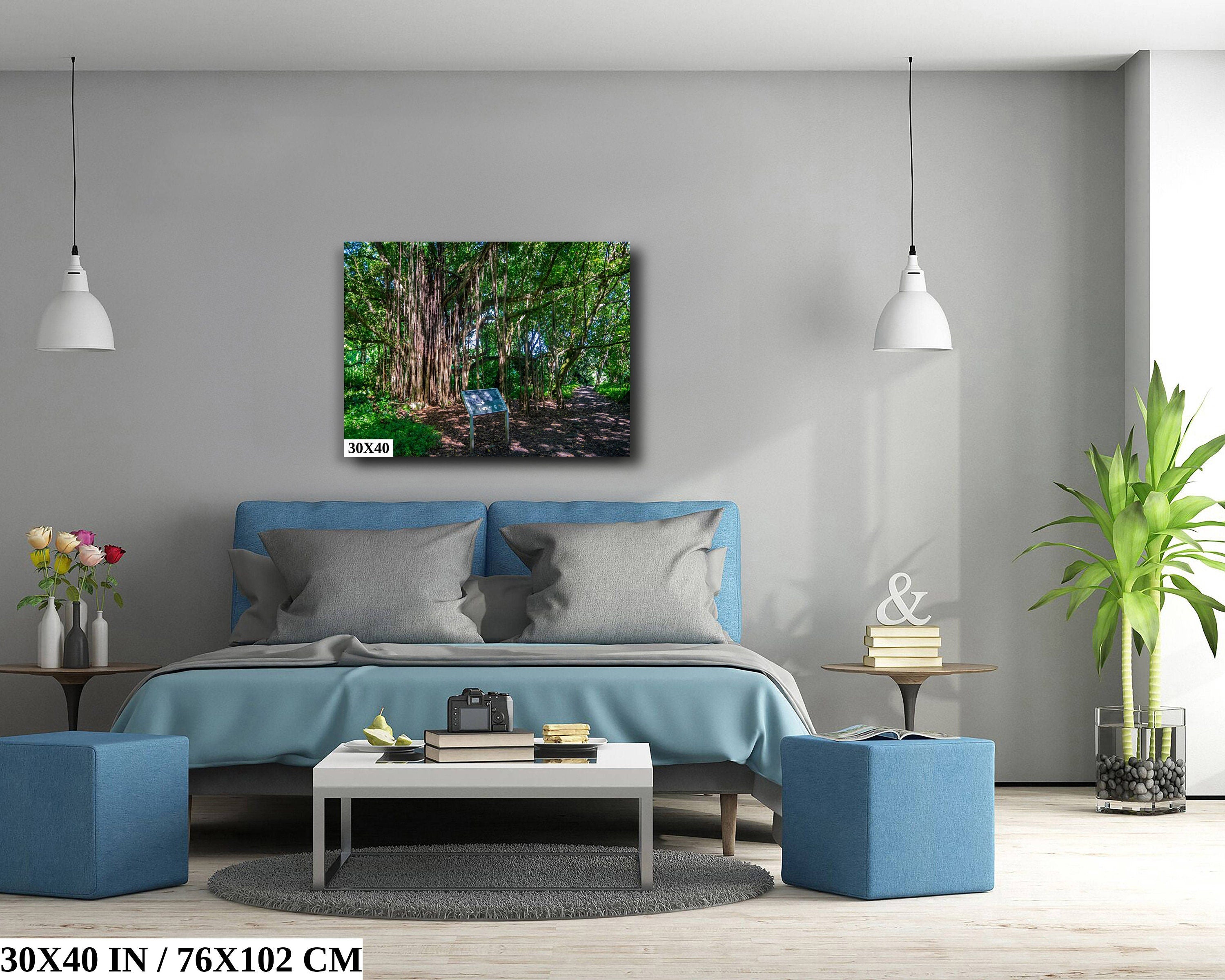 Maui Banyan Tree Print: Haleakala National Park.