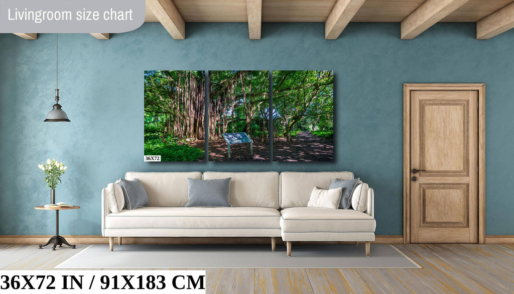 Maui Banyan Tree Print: Haleakala National Park.