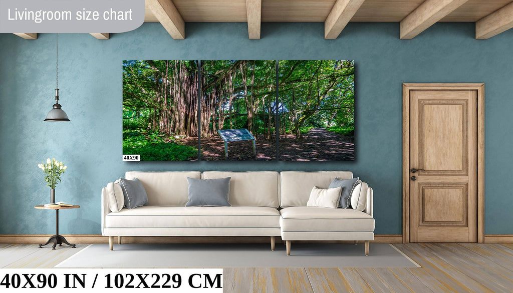 Maui Banyan Tree Print: Haleakala National Park.