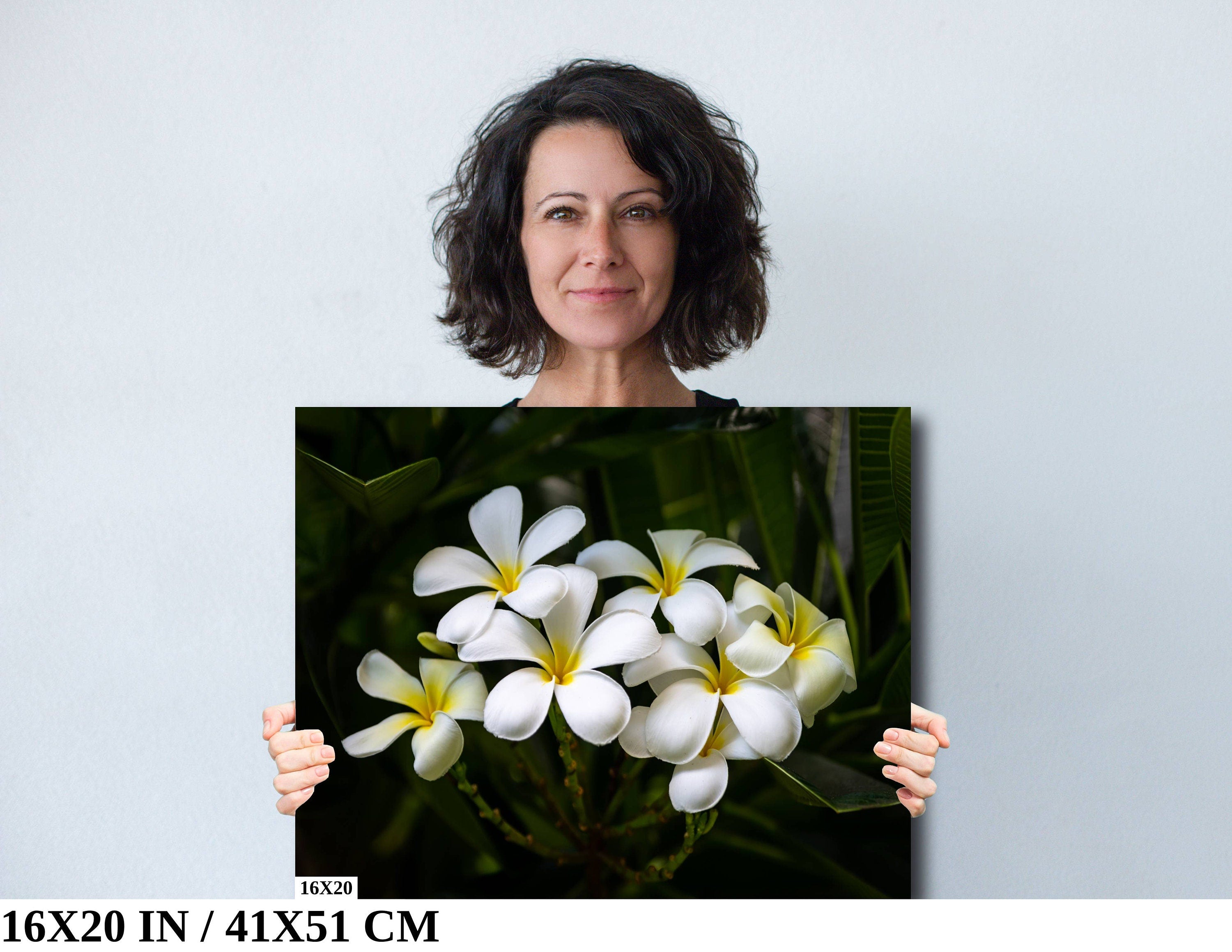 Blooms of Eternity: Hawaiian White Plumeria Flower Photography Wall Art Nature Print