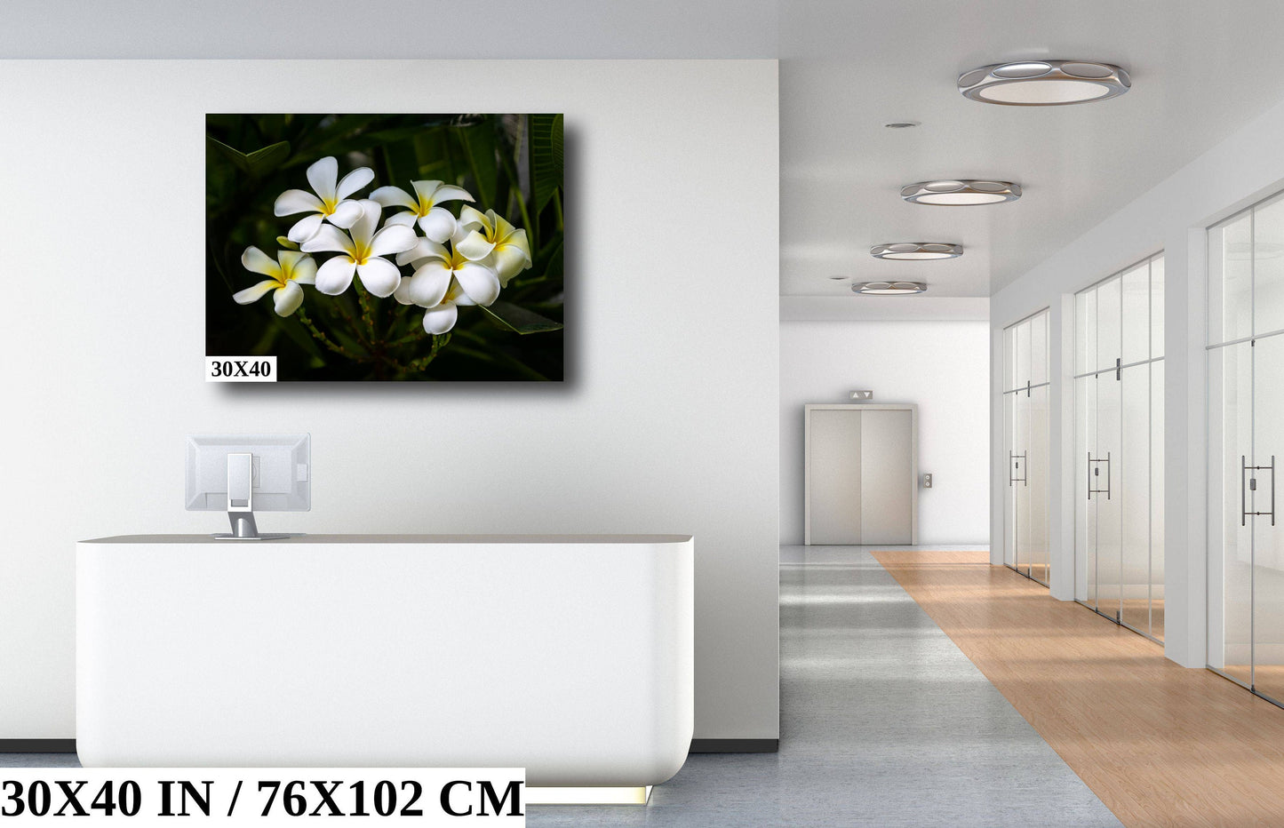 Blooms of Eternity: Hawaiian White Plumeria Flower Photography Wall Art Nature Canvas Print