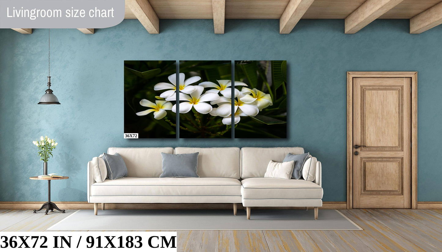 Blooms of Eternity: Hawaiian White Plumeria Flower Photography Wall Art Nature Canvas Print