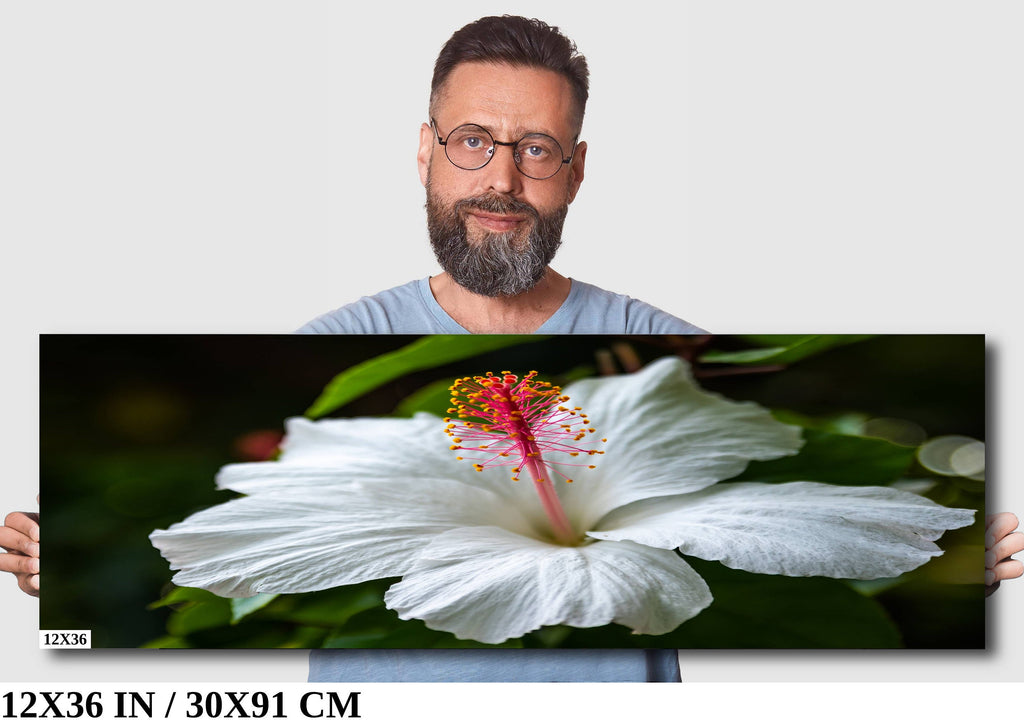 Enigmatic Blossoms: Hawaiian White Hibiscus Flower Photography Tropical Home Decor Maui Wall Art