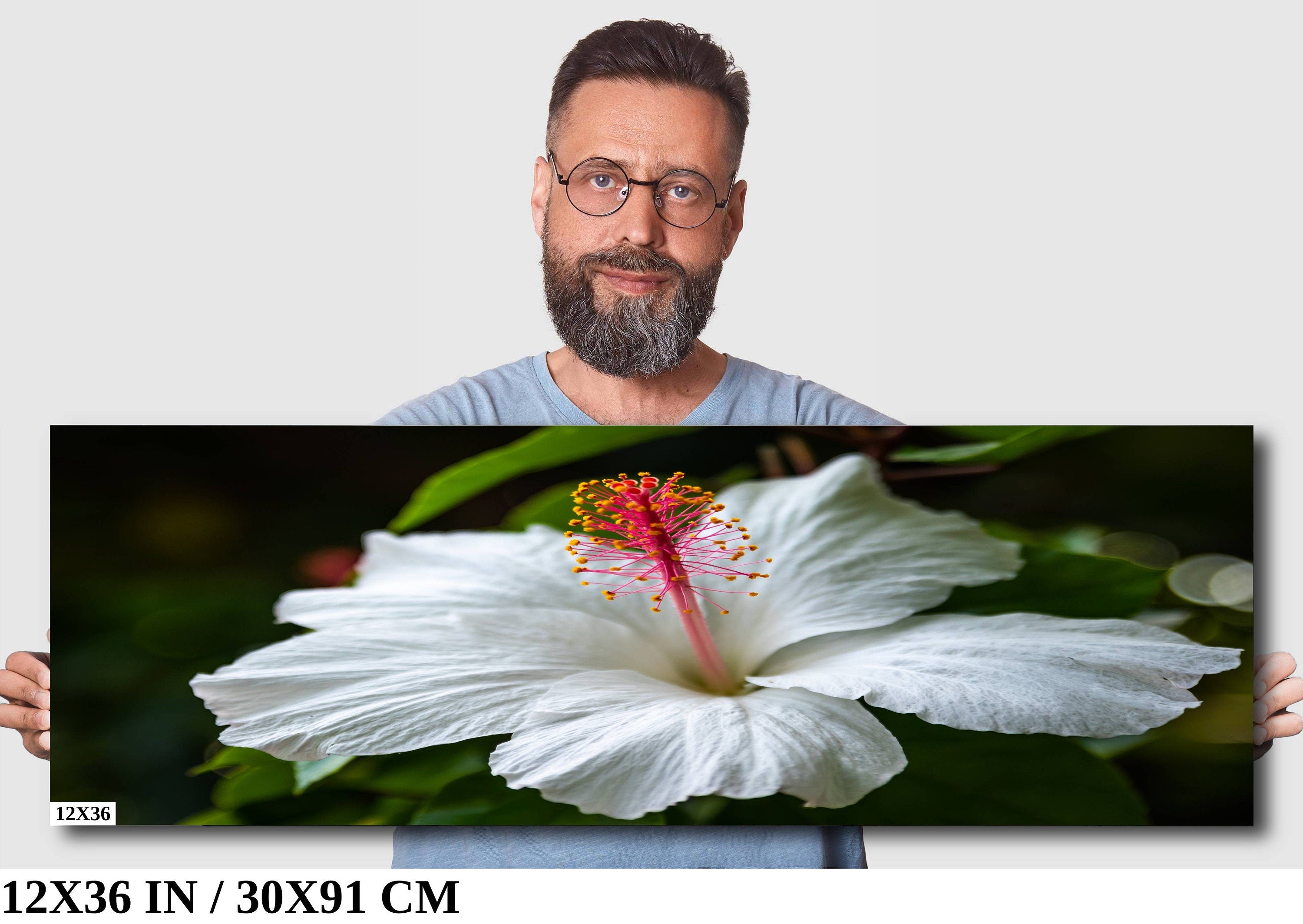 Enigmatic Blossoms: Hawaiian White Hibiscus Flower Photography Tropical Home Decor Maui Wall Art
