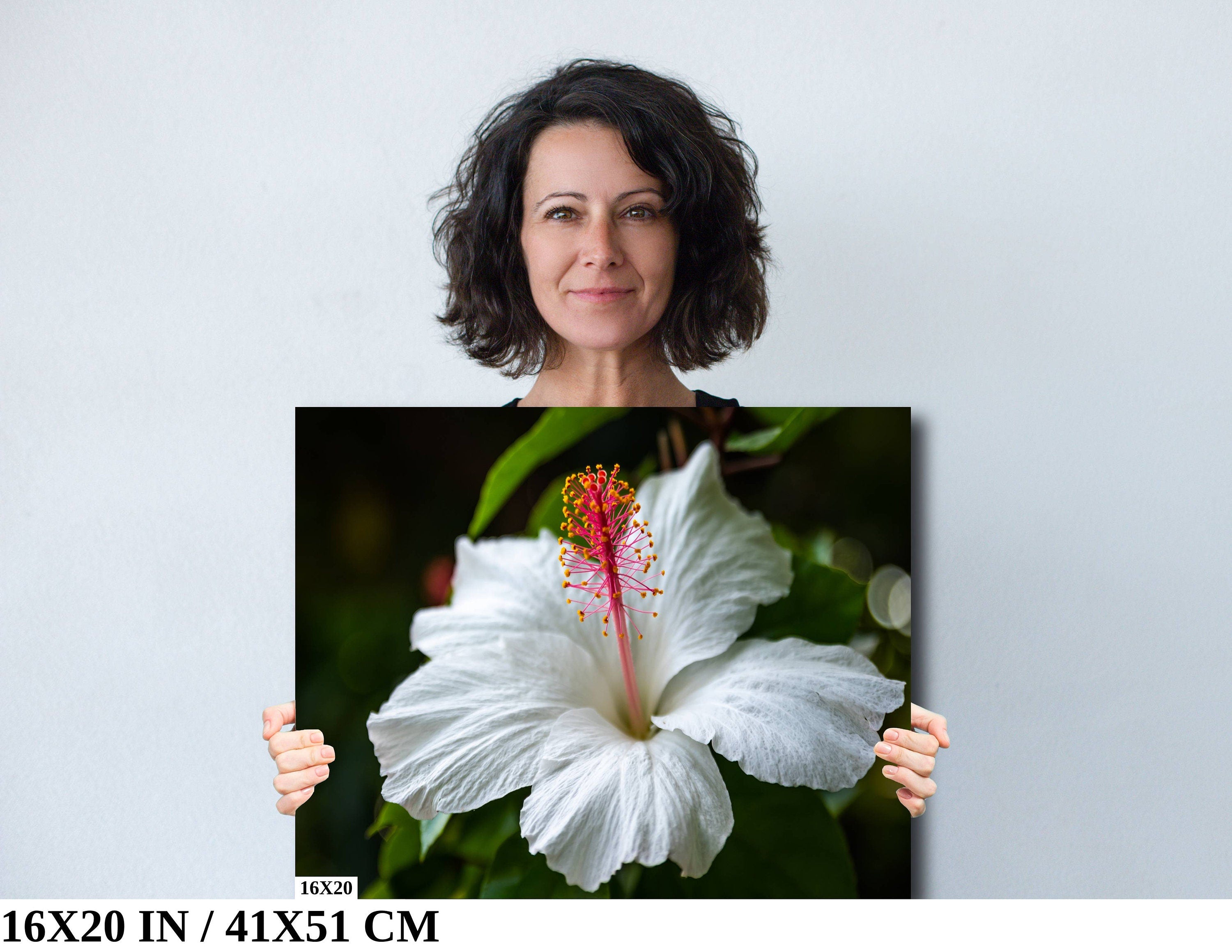 Enigmatic Blossoms: Hawaiian White Hibiscus Flower Photography Tropical Home Decor Maui Wall Art