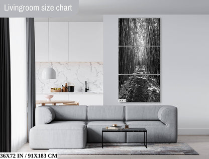 Bamboo Symphony: The Dramatic Aura of Pipiwai Trail's Verdant Path in Haleakala Maui Hawaii Wall Art Photography