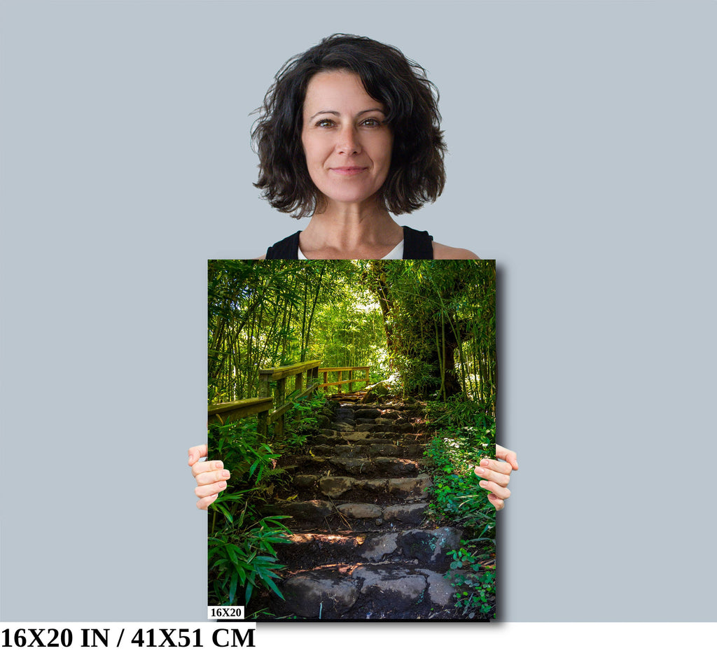 Steps to Enchantment: Pipiwai Trail Stairs Haleakala Maui Hawaii Photography Nature Canvas Print Wall Art