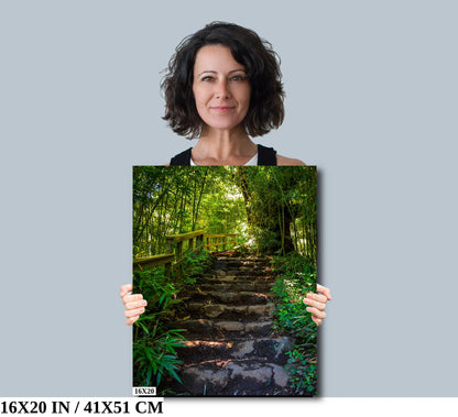 Steps to Enchantment: Pipiwai Trail Stairs Haleakala Maui Hawaii Photography Nature Canvas Print Wall Art