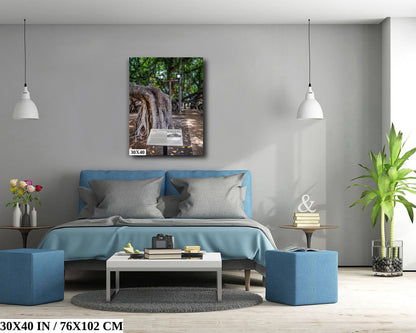 The Lahaina Banyan Tree: Hawaii's Historical Tree Photography Maui Wall Art Hawaii