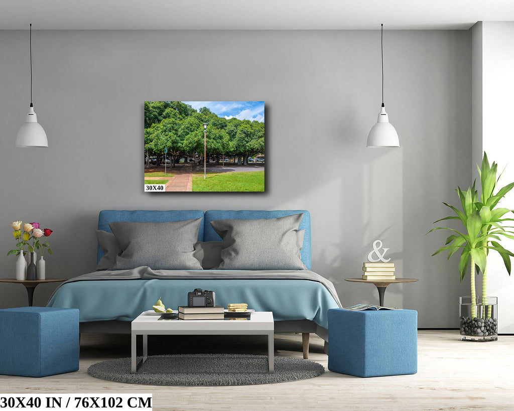 Lahaina Banyan Tree Photography: Maui Hawaii Landscape Wall Art Print