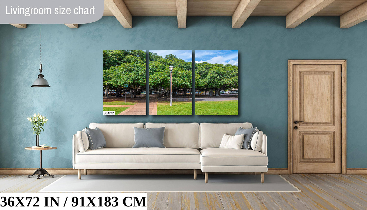 Lahaina Banyan Tree Photography - Maui Landscape Art | Giant Tree Wall Decor