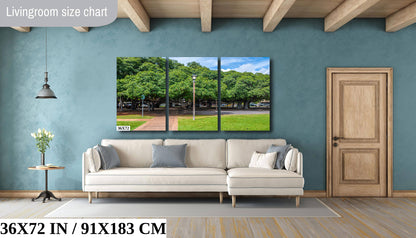 Lahaina Banyan Tree Photography - Maui Landscape Art | Giant Tree Wall Decor